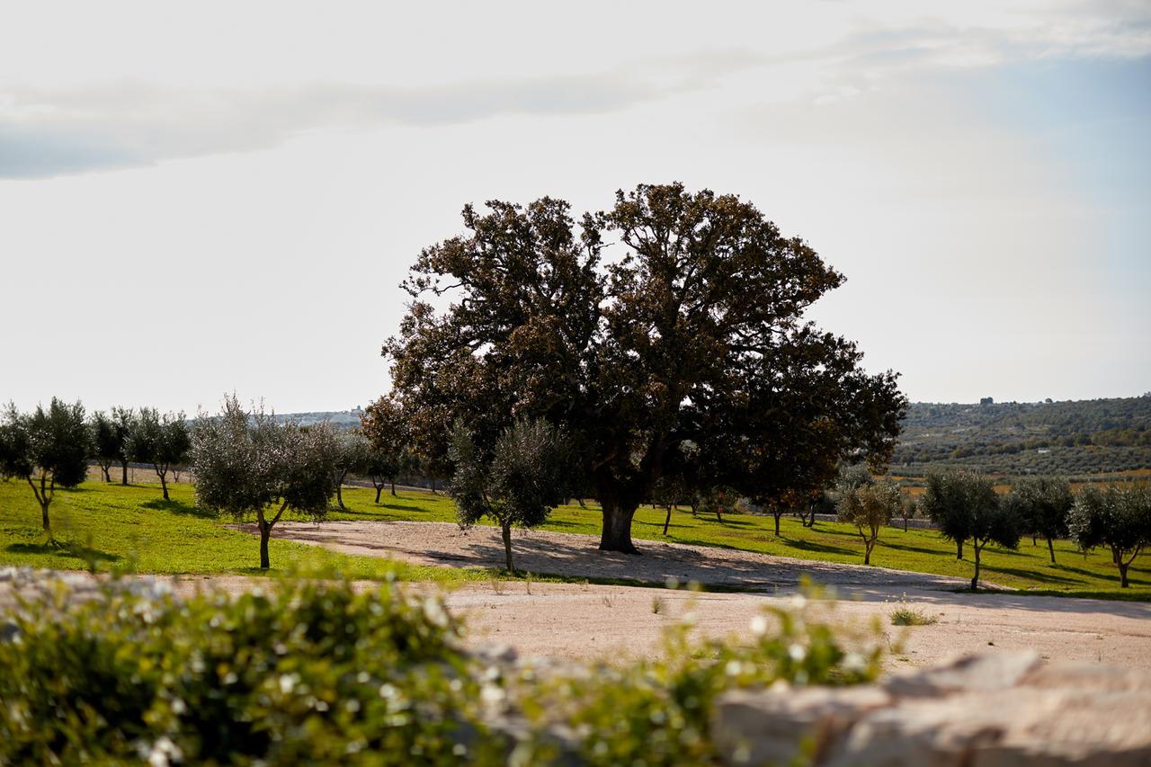 Masseria Grieco Ostuni Exteriér fotografie